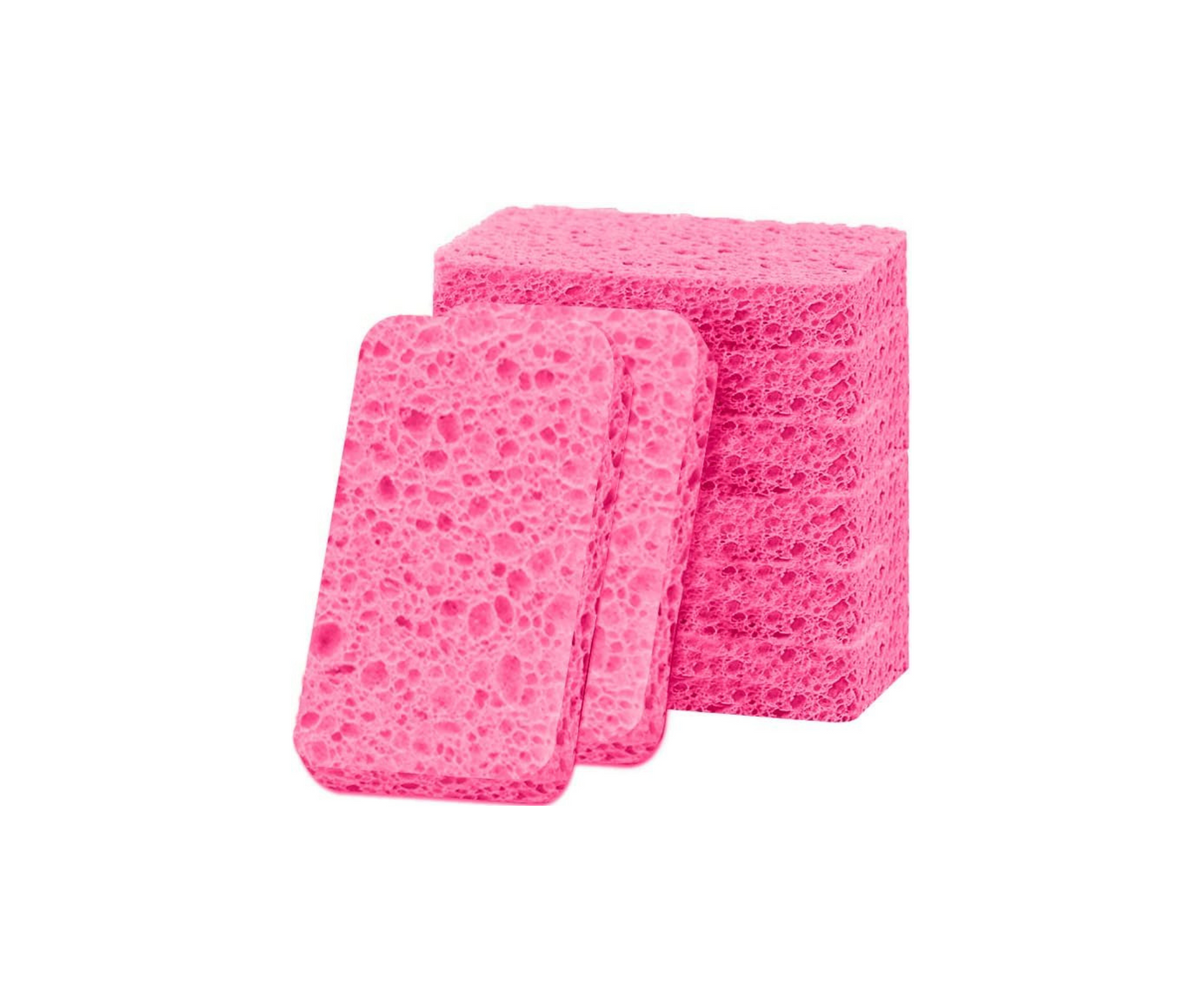 Dish Sponge